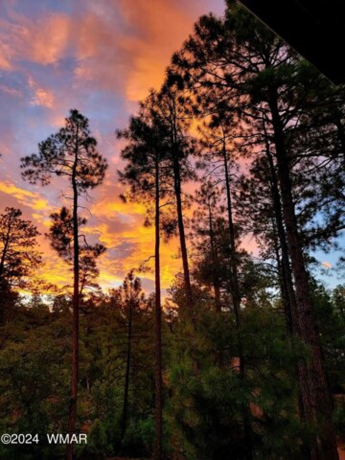 Picture of Home For Sale in Show Low, Arizona, United States