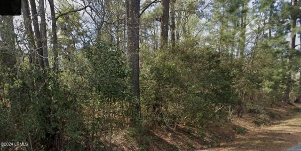 Picture of Residential Land For Sale in Hampton, South Carolina, United States