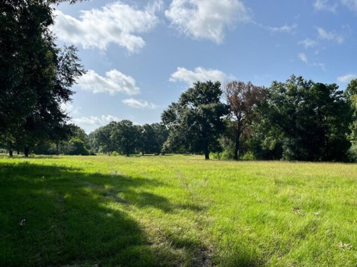 Picture of Residential Land For Sale in Huntsville, Texas, United States