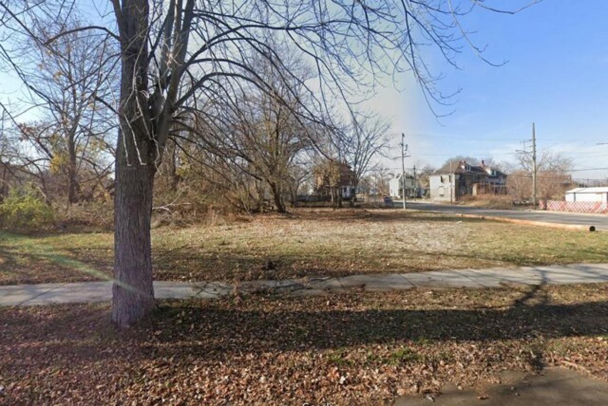 Picture of Residential Land For Sale in Detroit, Michigan, United States