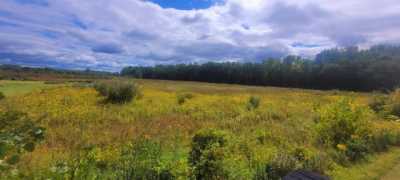 Residential Land For Sale in 