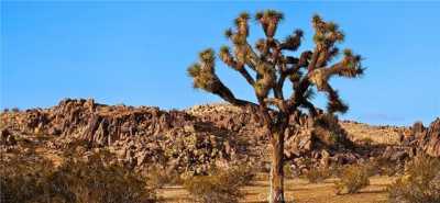 Residential Land For Sale in Adelanto, California