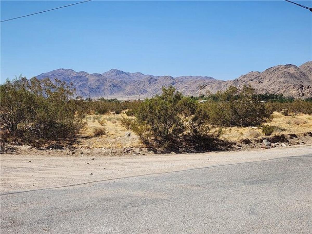 Picture of Residential Land For Sale in Lucerne Valley, California, United States