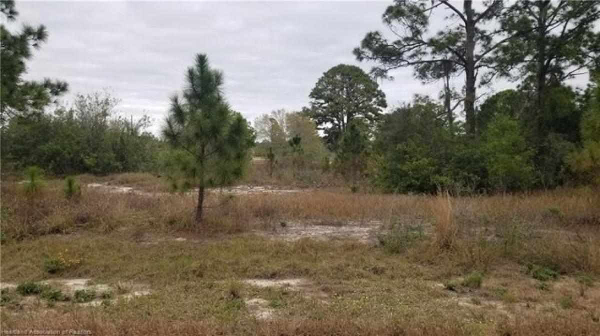 Picture of Residential Land For Sale in Lake Placid, Florida, United States