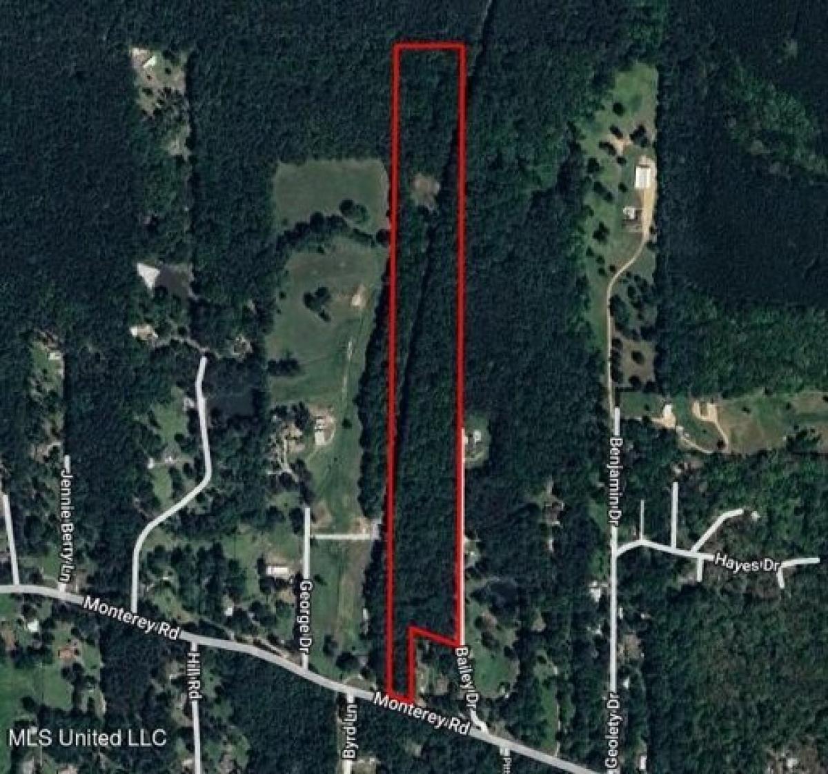 Picture of Residential Land For Sale in Pearl, Mississippi, United States