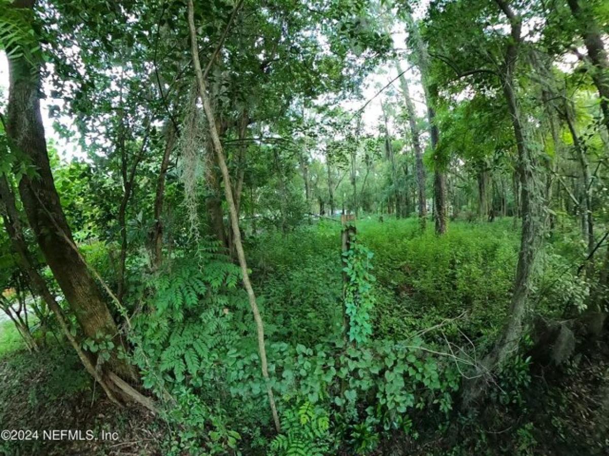 Picture of Residential Land For Sale in Jacksonville, Florida, United States