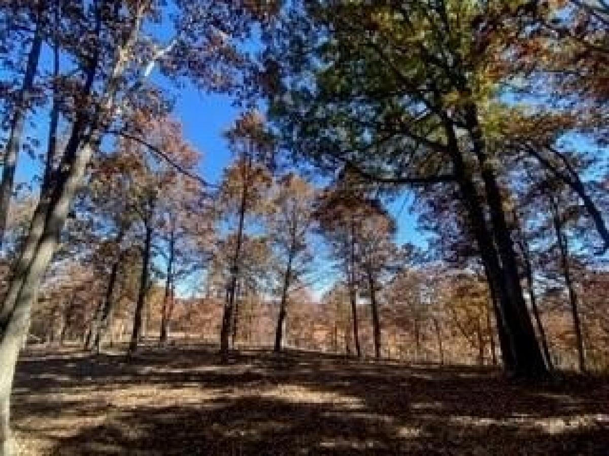 Picture of Residential Land For Sale in Gravette, Arkansas, United States