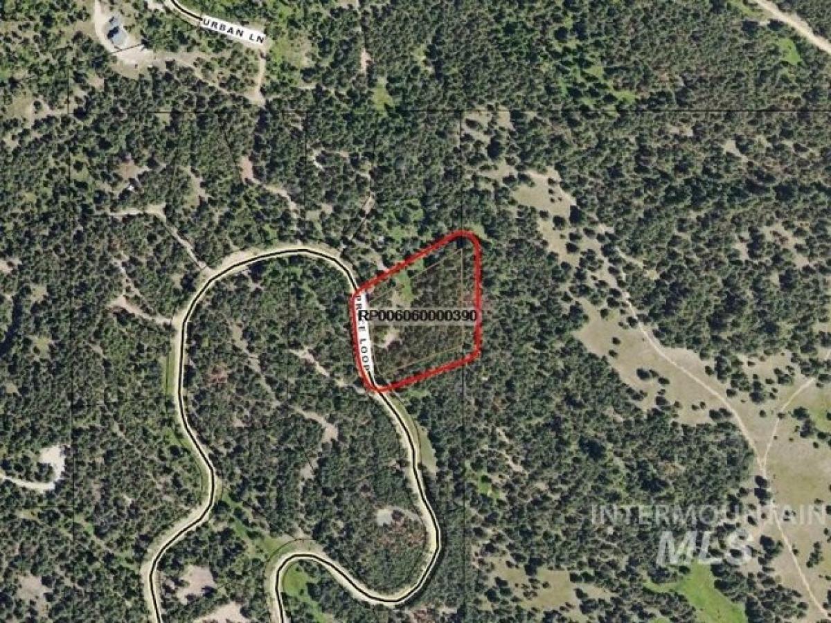 Picture of Residential Land For Sale in Cascade, Idaho, United States