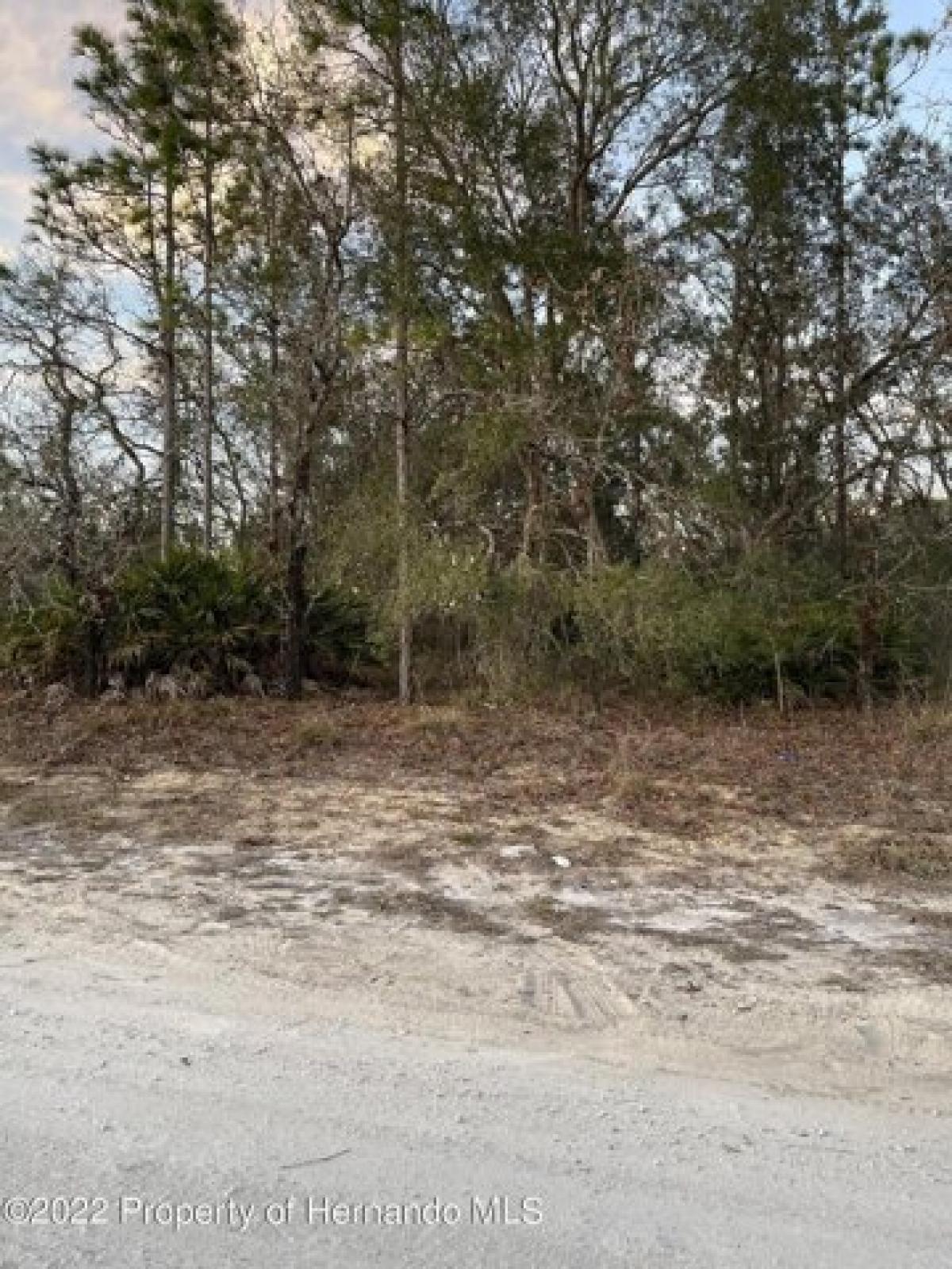 Picture of Residential Land For Sale in Weeki Wachee, Florida, United States