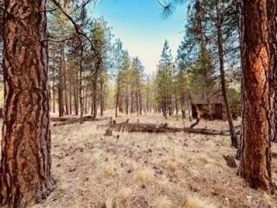 Residential Land For Sale in Sisters, Oregon