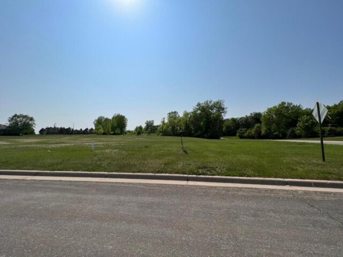 Picture of Residential Land For Sale in Albert Lea, Minnesota, United States