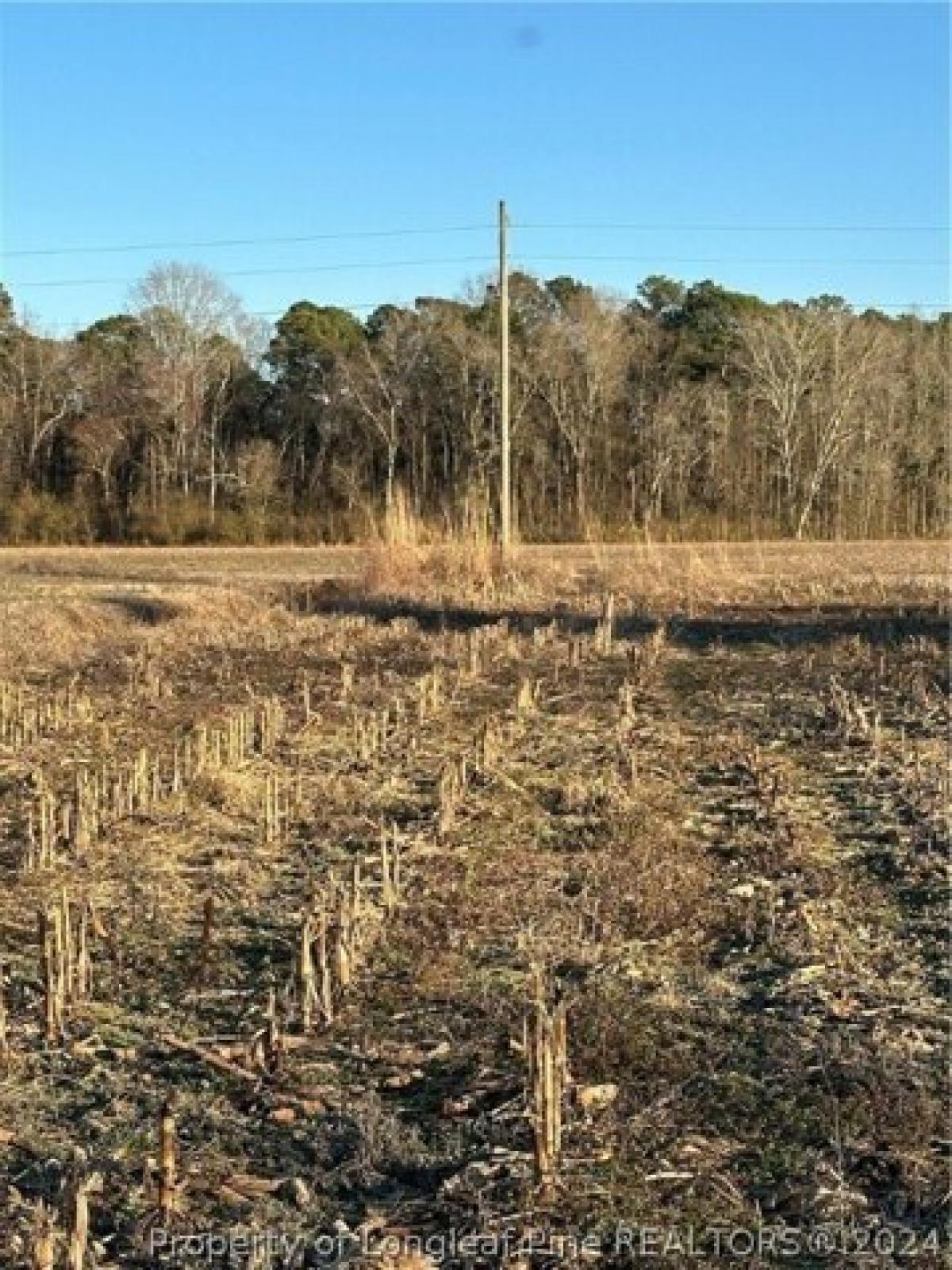 Picture of Residential Land For Sale in Lumber Bridge, North Carolina, United States