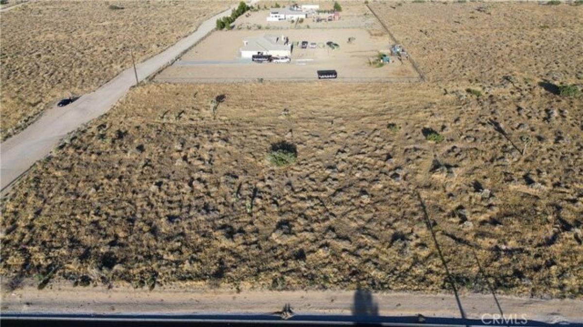 Picture of Residential Land For Sale in Phelan, California, United States