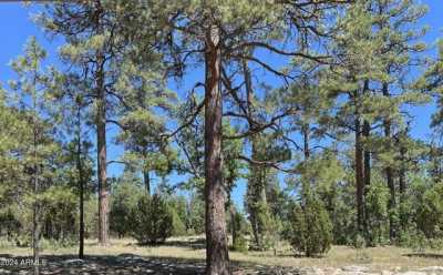 Residential Land For Sale in Happy Jack, Arizona