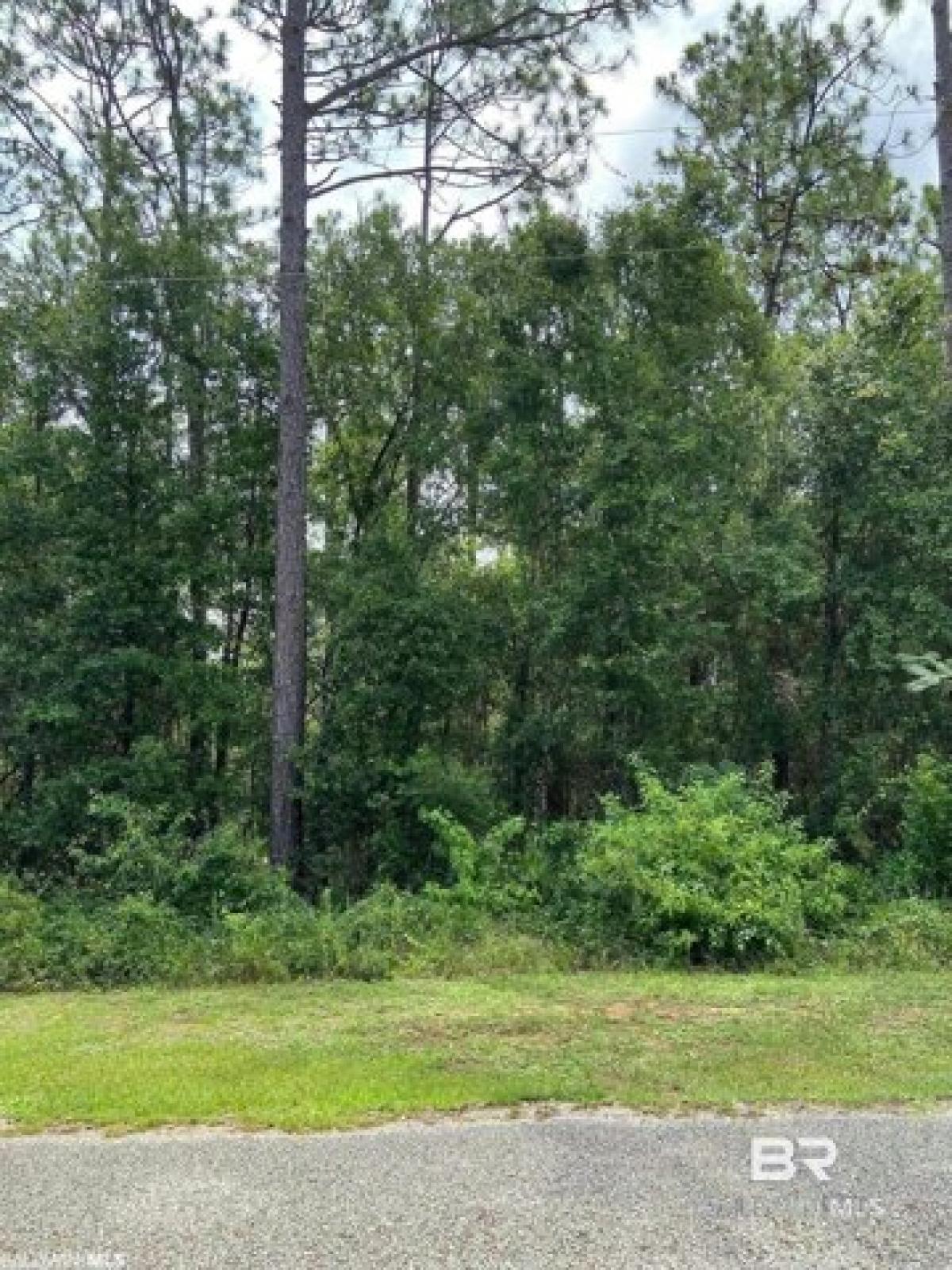 Picture of Residential Land For Sale in Elberta, Alabama, United States