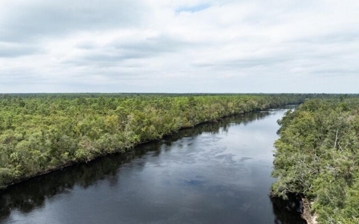 Picture of Residential Land For Sale in Live Oak, Florida, United States