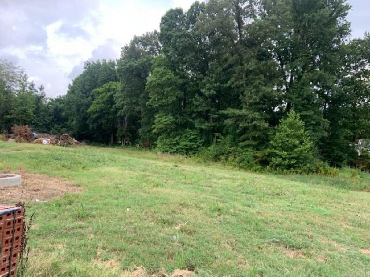 Picture of Residential Land For Sale in Paragould, Arkansas, United States