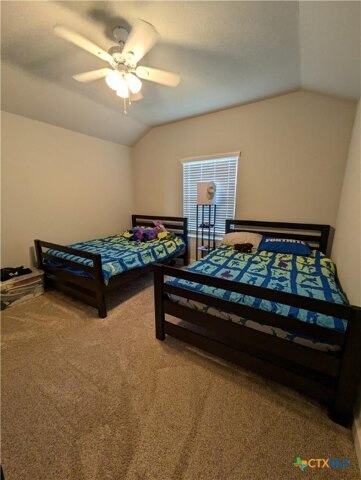 Picture of Home For Rent in New Braunfels, Texas, United States