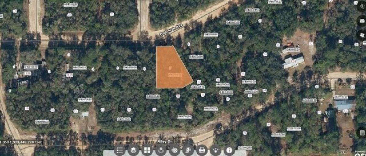 Picture of Residential Land For Sale in Interlachen, Florida, United States