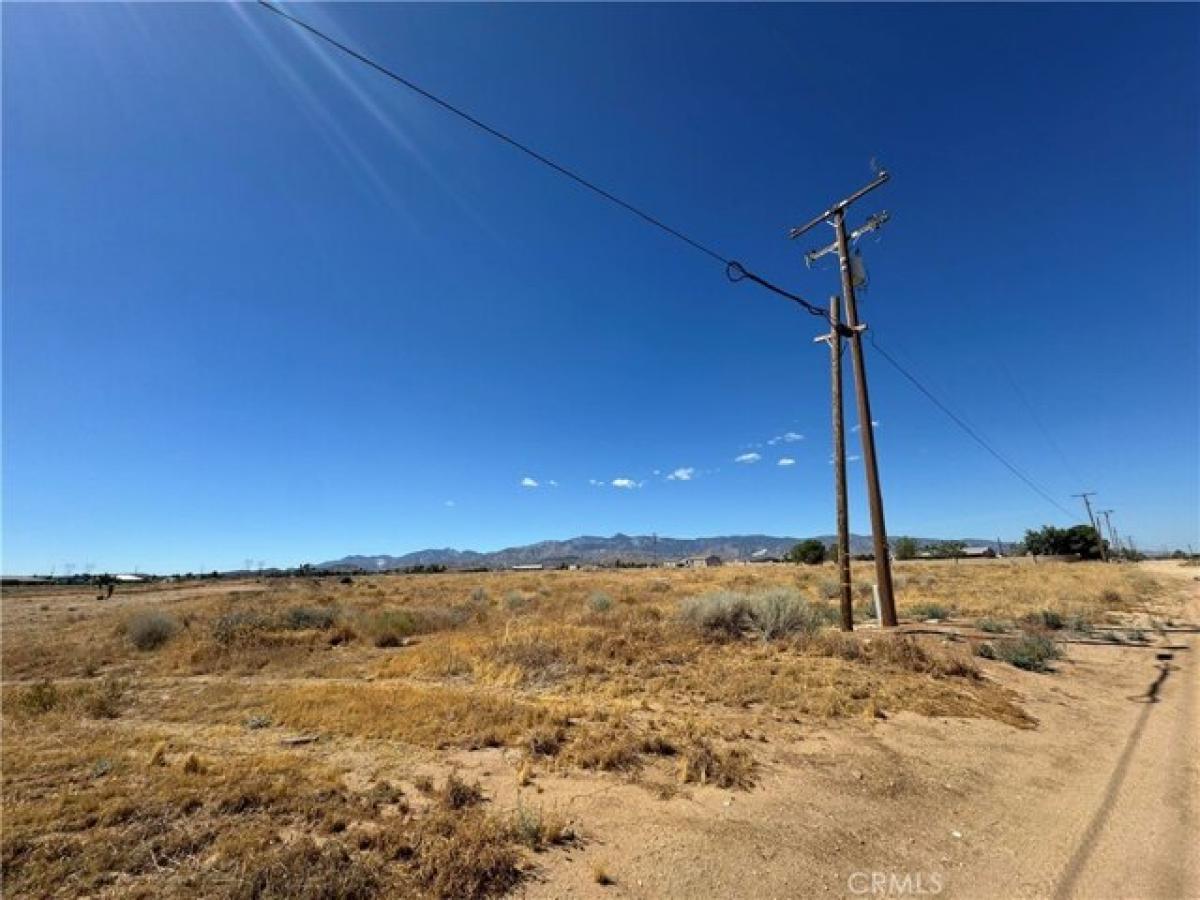 Picture of Residential Land For Sale in Phelan, California, United States