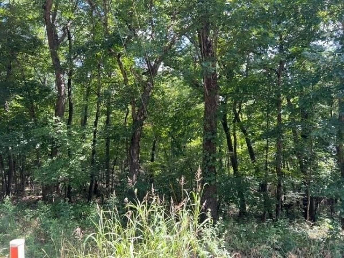 Picture of Residential Land For Rent in Holiday Island, Arkansas, United States