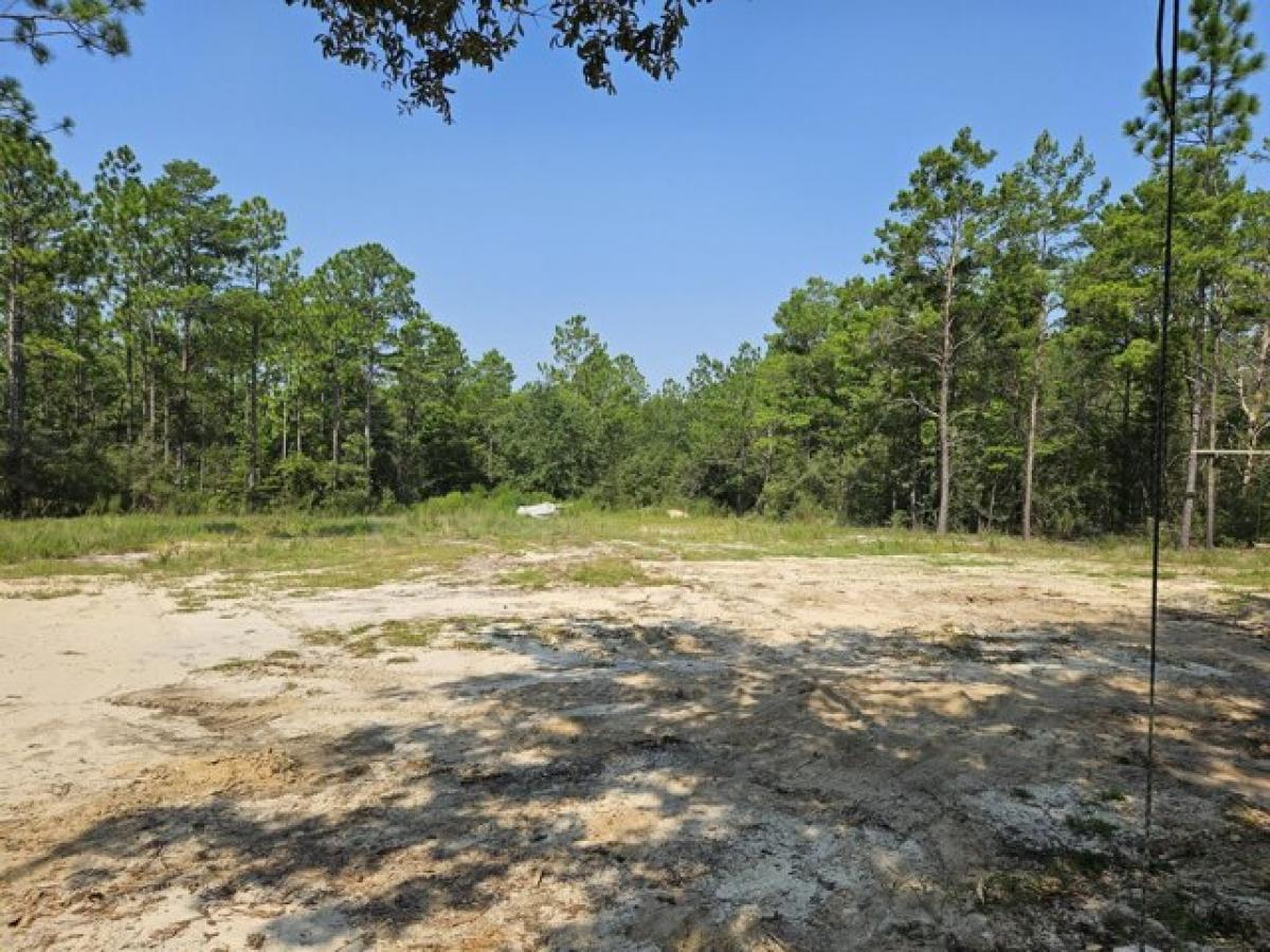 Picture of Residential Land For Sale in Defuniak Springs, Florida, United States