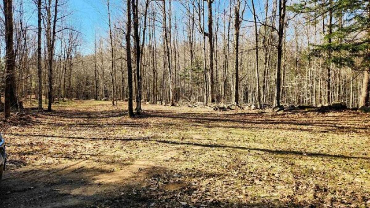 Picture of Residential Land For Sale in Potsdam, New York, United States