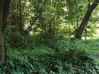 Residential Land For Sale in Boulder Creek, California