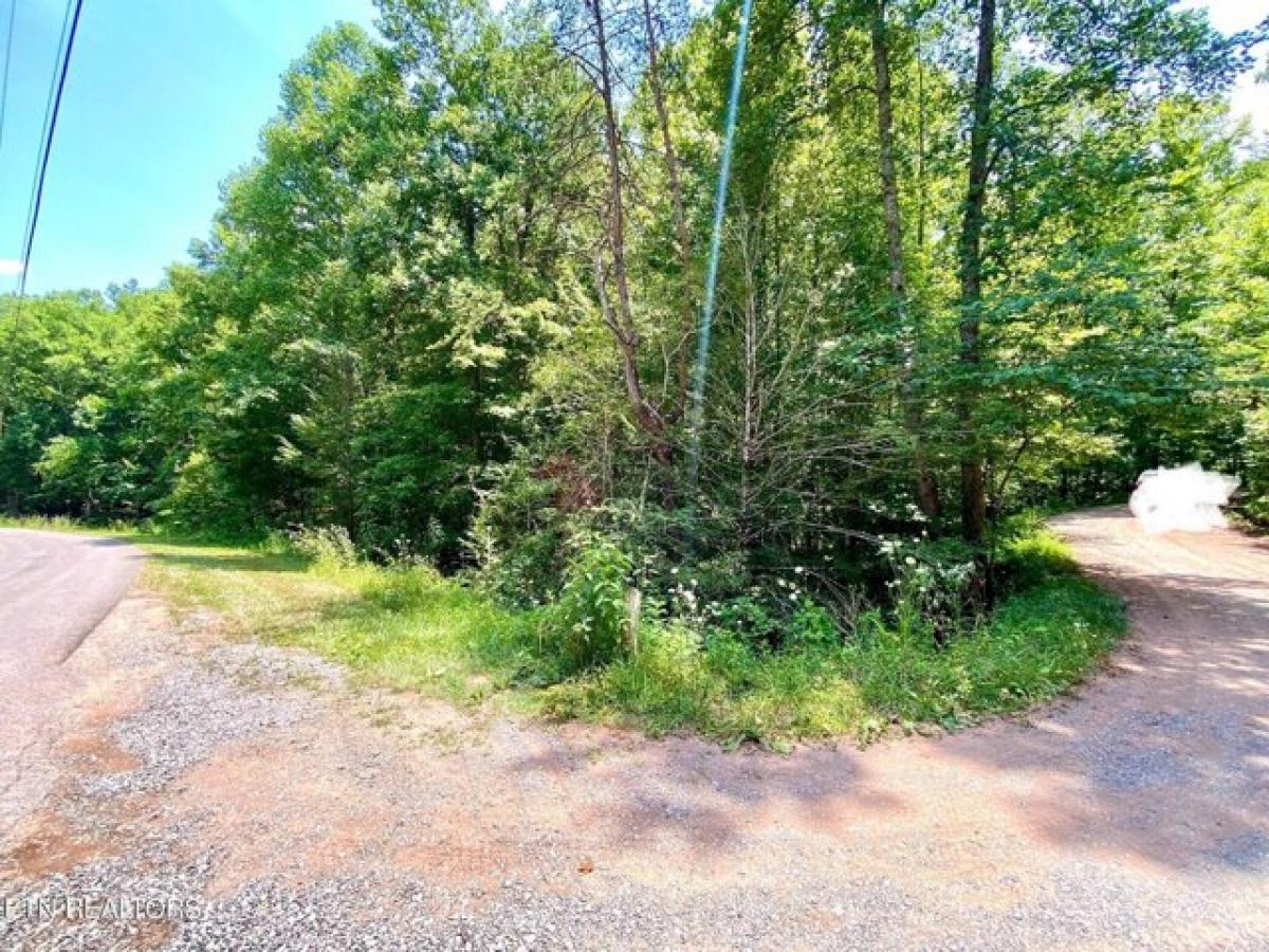 Picture of Residential Land For Sale in Vonore, Tennessee, United States