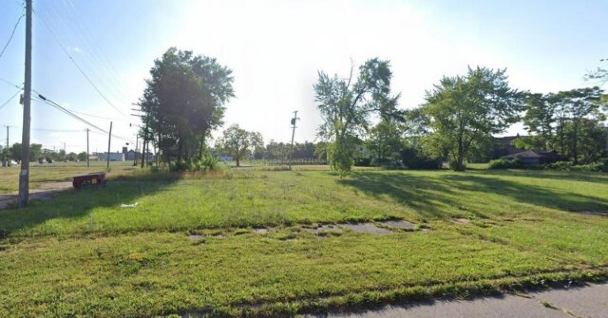 Picture of Residential Land For Rent in Detroit, Michigan, United States