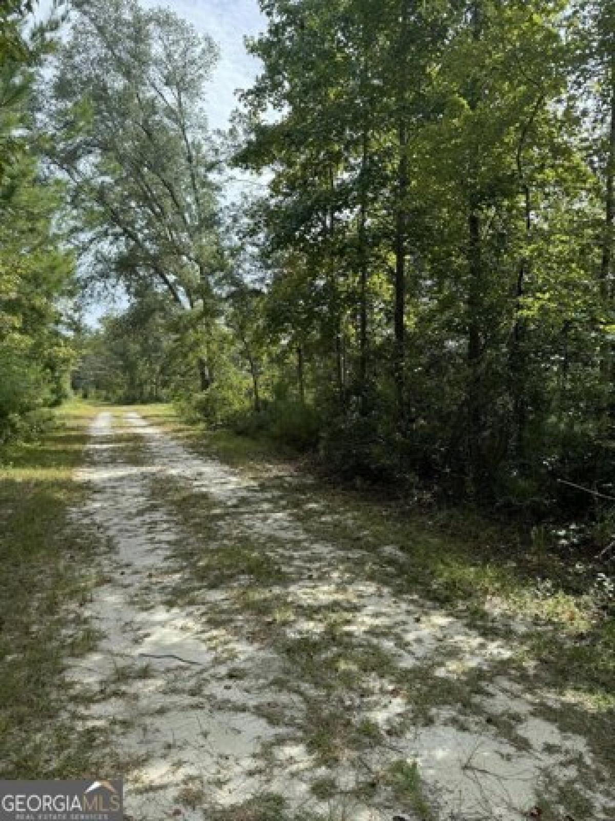 Picture of Residential Land For Sale in Claxton, Georgia, United States