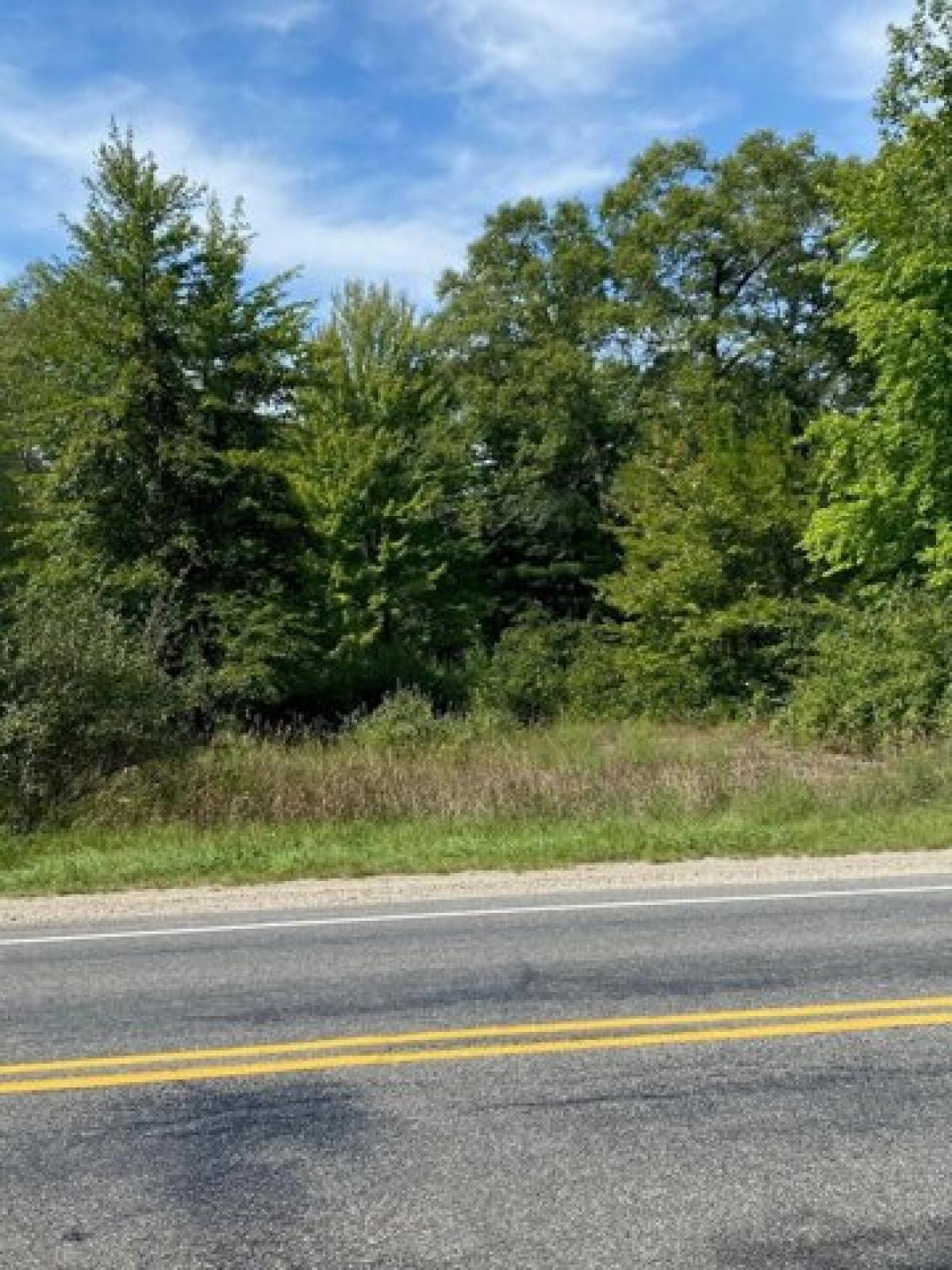 Picture of Residential Land For Sale in Twin Lake, Michigan, United States