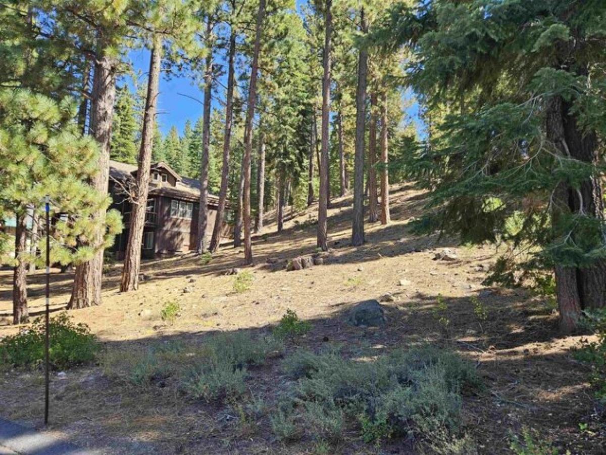 Picture of Residential Land For Sale in Truckee, California, United States