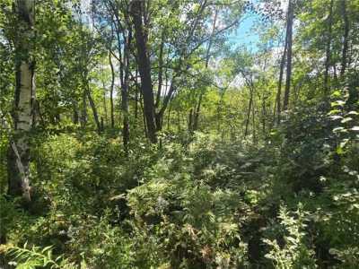 Residential Land For Sale in Hillman, Minnesota