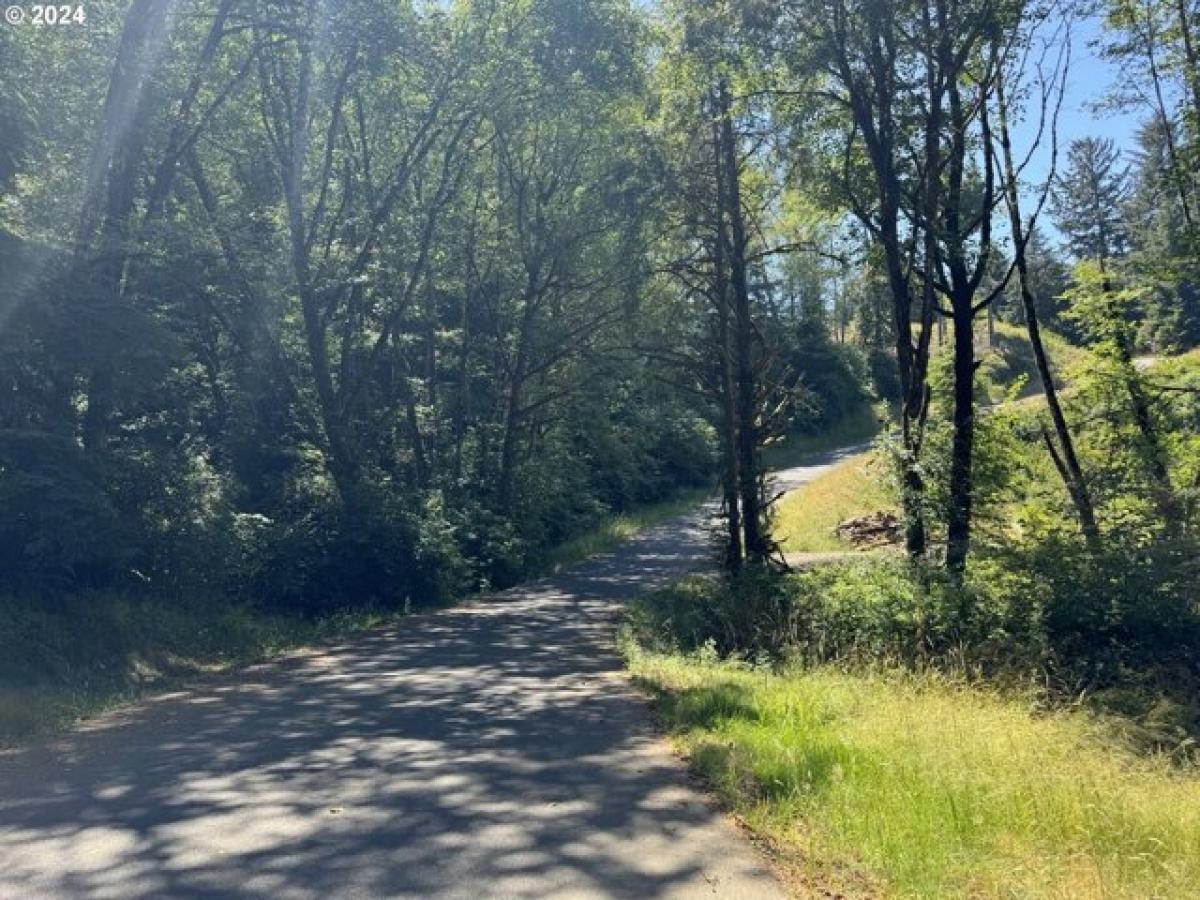 Picture of Residential Land For Sale in North Bend, Oregon, United States