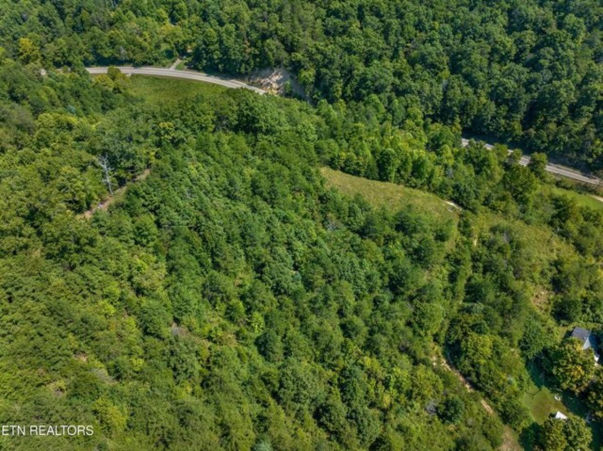 Picture of Residential Land For Sale in Mooresburg, Tennessee, United States