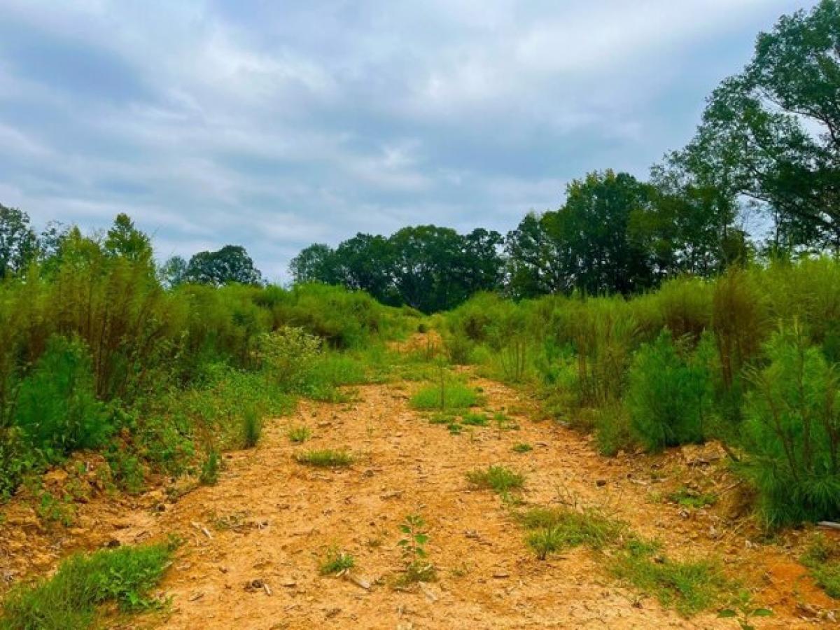 Picture of Residential Land For Sale in Brookhaven, Mississippi, United States