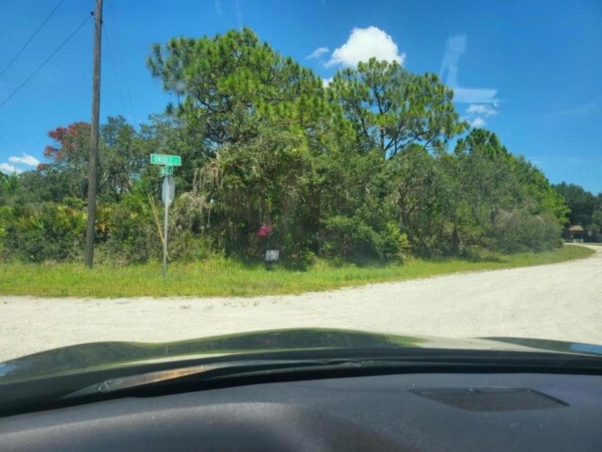 Picture of Residential Land For Sale in Lake Placid, Florida, United States