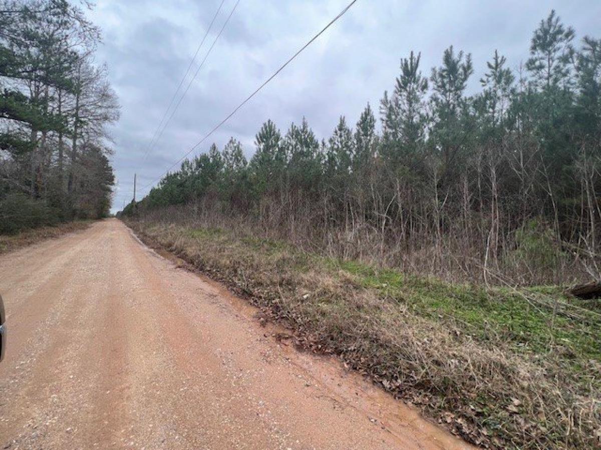 Picture of Residential Land For Sale in Livingston, Texas, United States