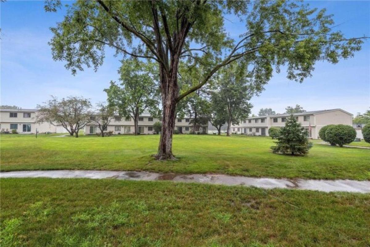 Picture of Home For Sale in Brooklyn Park, Minnesota, United States