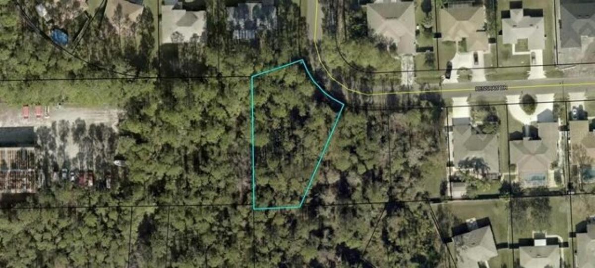 Picture of Residential Land For Sale in Palm Coast, Florida, United States