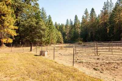 Home For Sale in Selma, Oregon