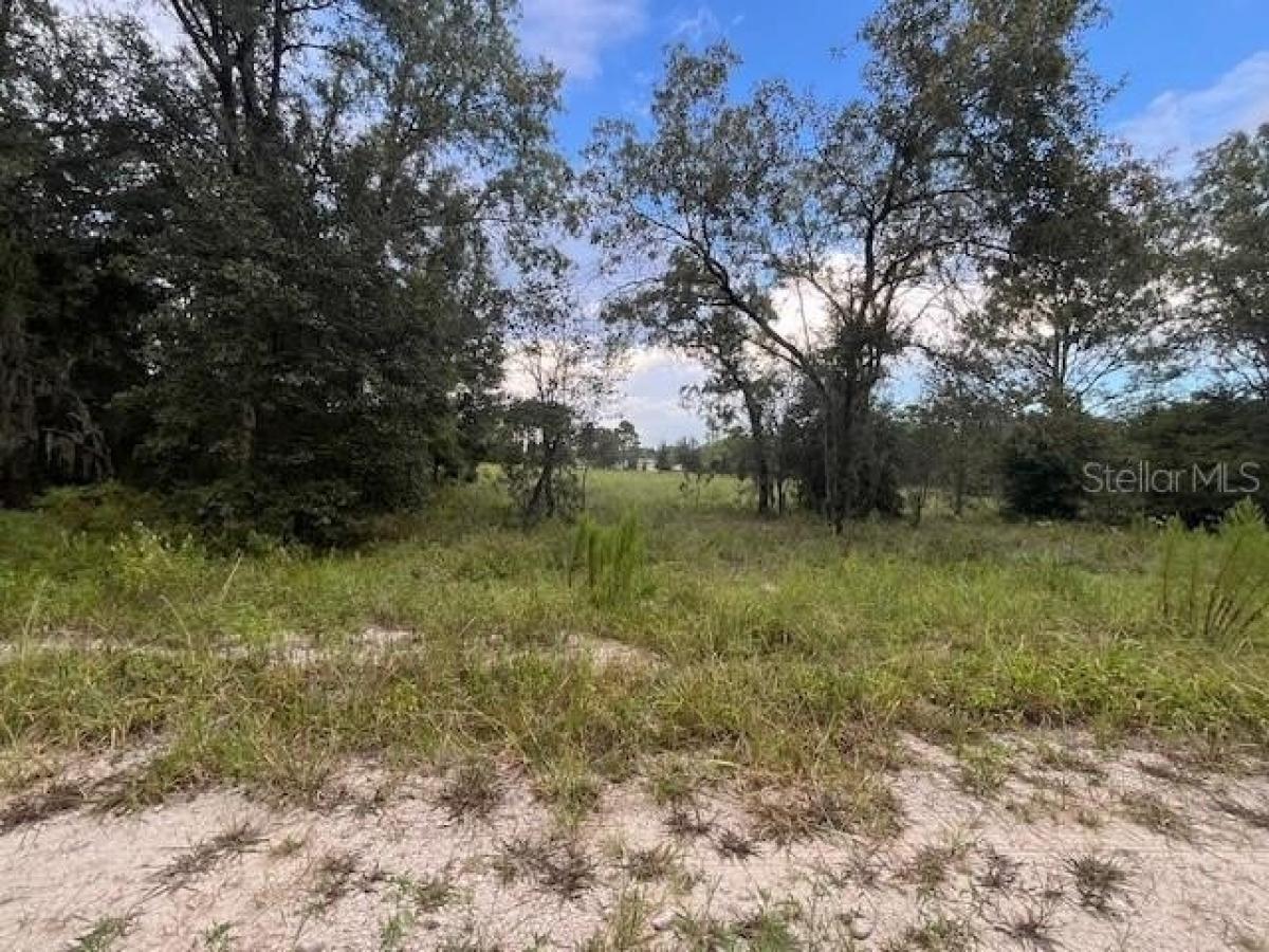 Picture of Residential Land For Sale in Morriston, Florida, United States