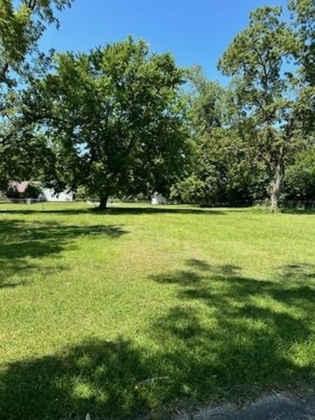 Picture of Residential Land For Sale in Midland City, Alabama, United States