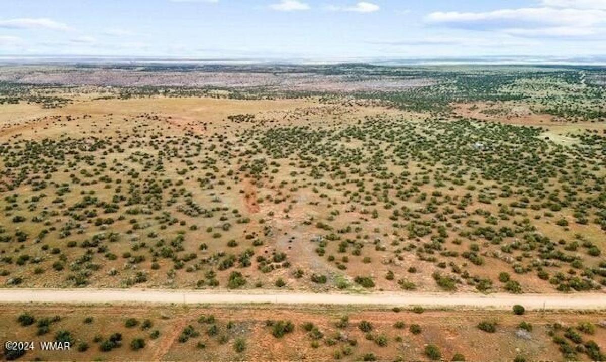 Picture of Residential Land For Sale in Saint Johns, Arizona, United States