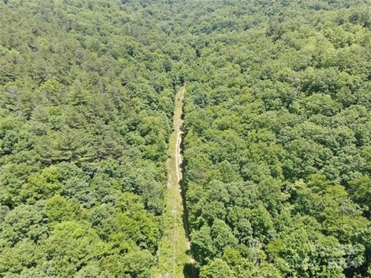 Picture of Residential Land For Sale in Bryson City, North Carolina, United States