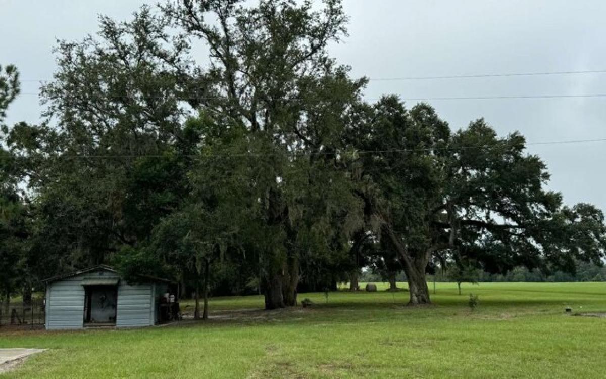 Picture of Home For Sale in Live Oak, Florida, United States