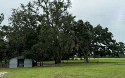 Home For Sale in Live Oak, Florida