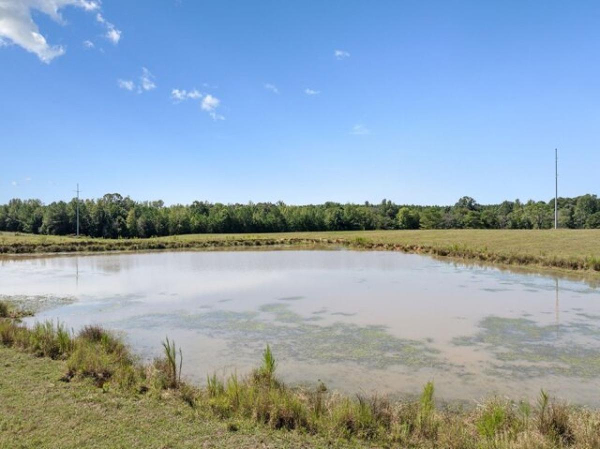 Picture of Residential Land For Sale in Stantonville, Tennessee, United States