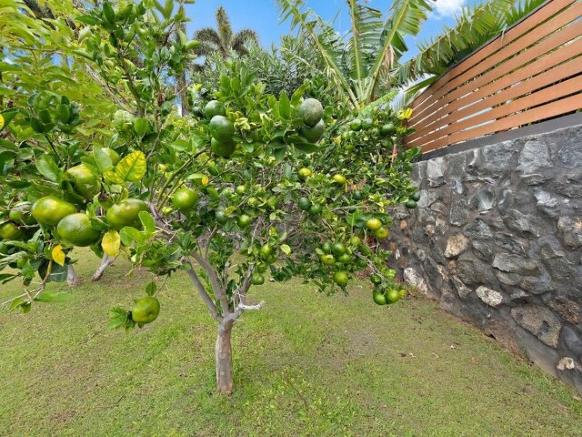 Picture of Home For Sale in Waikoloa, Hawaii, United States